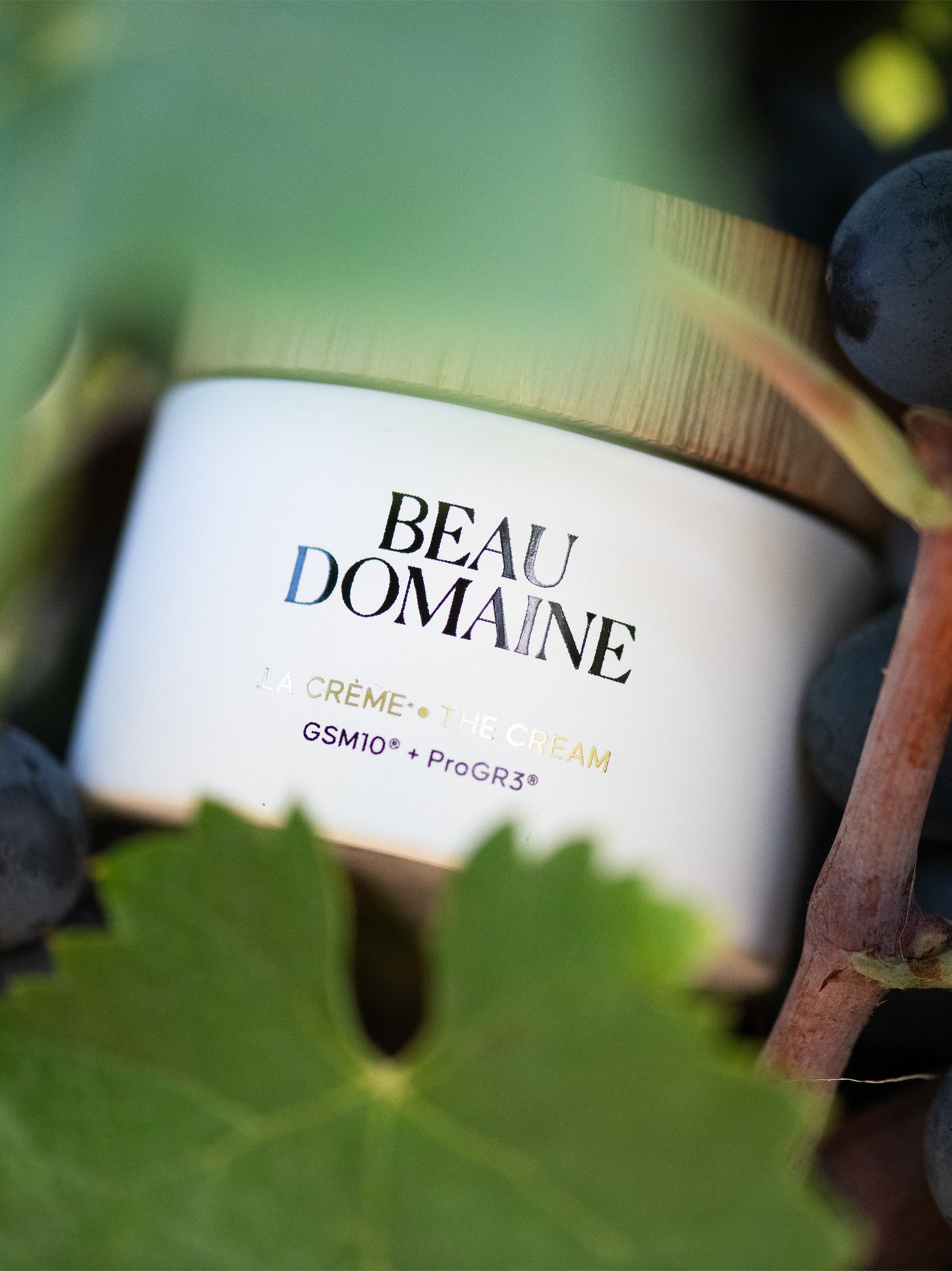 Beau Domaine by Brad Pitt & Famille Perrin